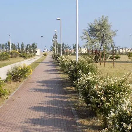 In 25685 *